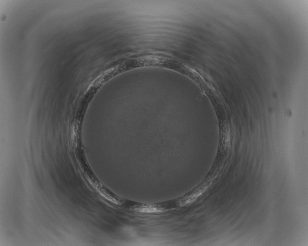 X0000086300759200703301202