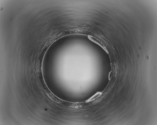 X0000086300760200703301202