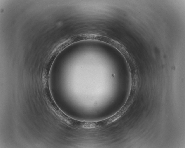 X0000086300762200703301202