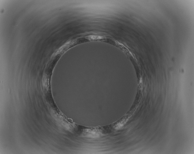 X0000086300763200703301202