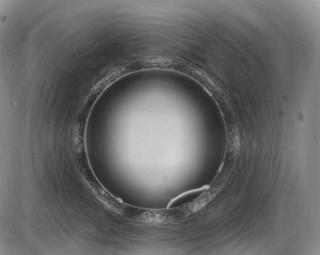 X0000086300764200703301202
