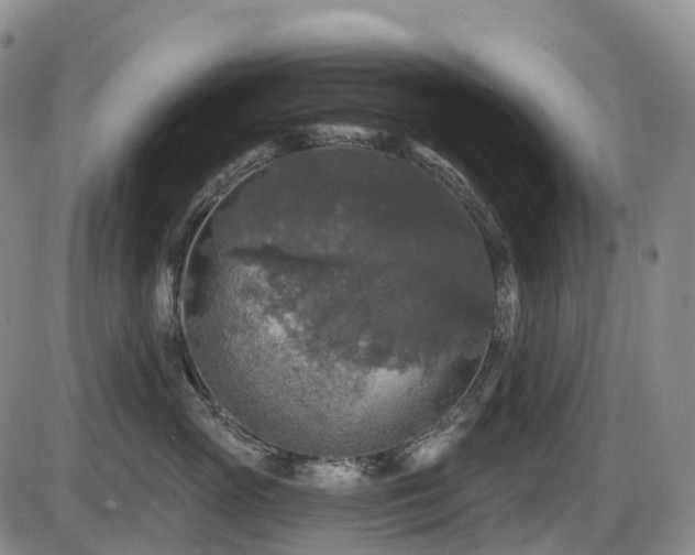 X0000086300765200703301202