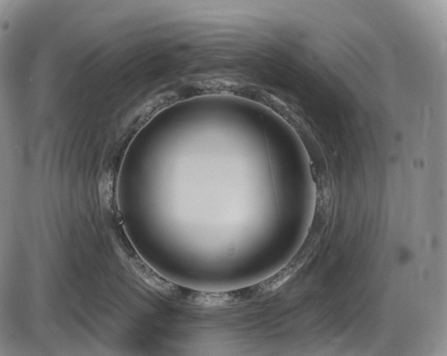 X0000086300767200703301202