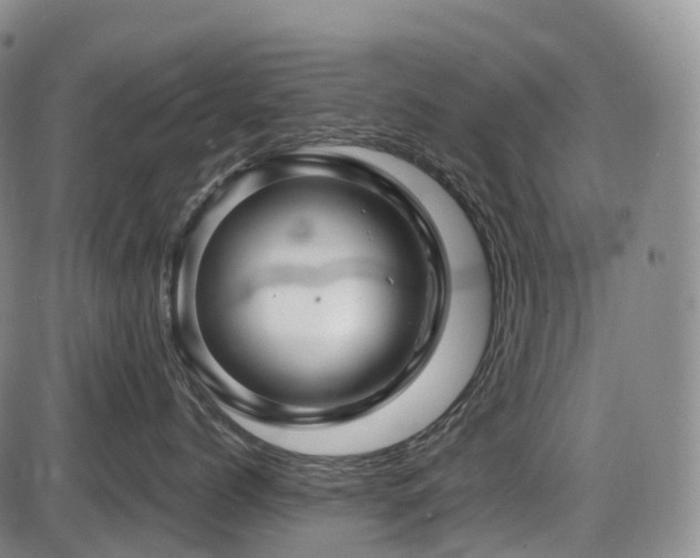 X0000086300768200703301202
