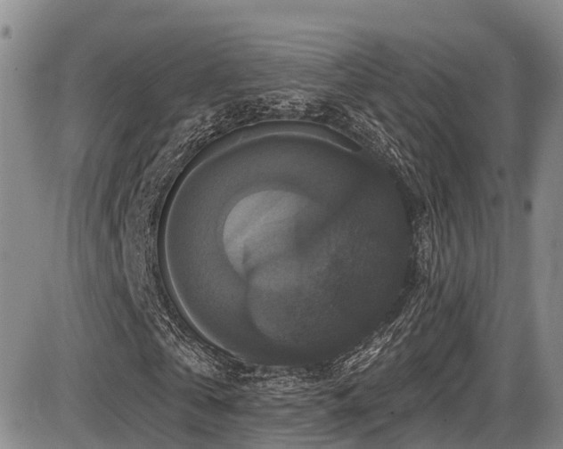 X0000086300769200703301201