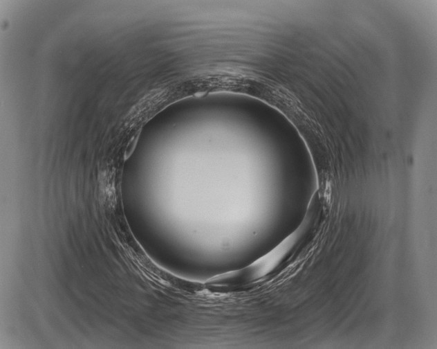 X0000086300771200703301201