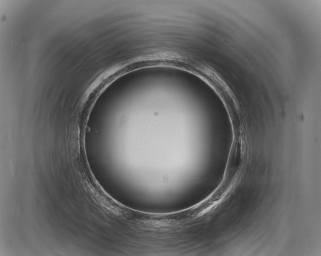 X0000086300781200703301201
