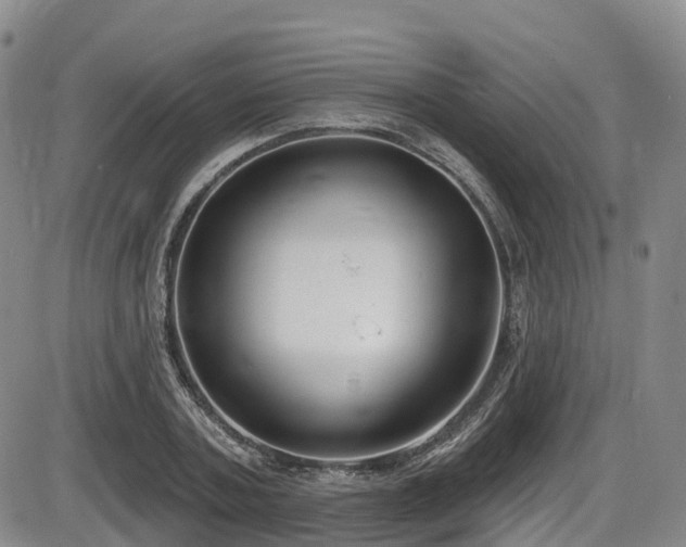 X0000086300787200703301201