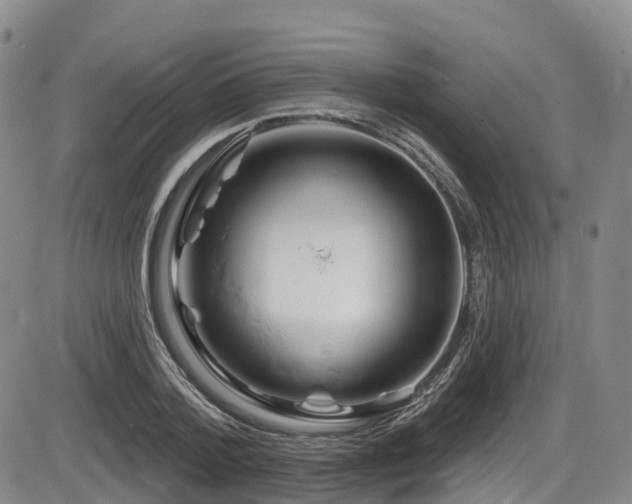 X0000086300788200703301200