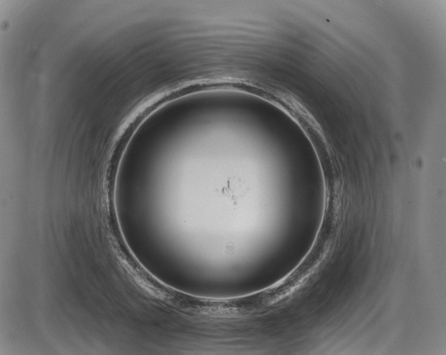 X0000086300789200703301200