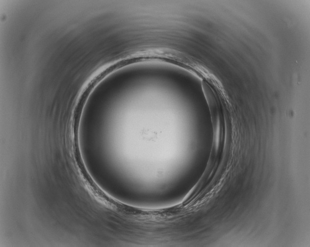 X0000086300792200703301200