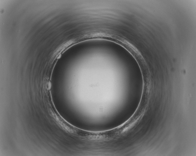 X0000086300793200703301200