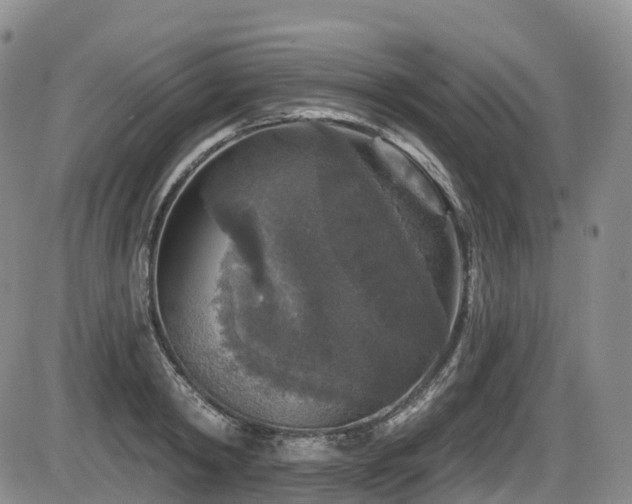 X0000086300798200703301200