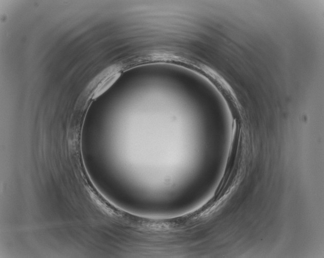 X0000086300801200703301200
