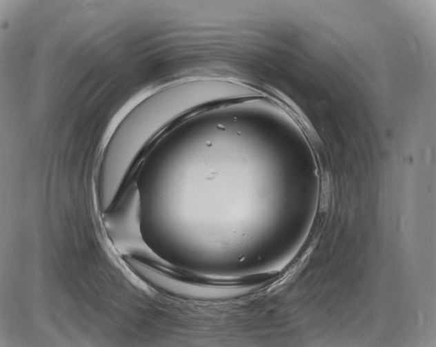 X0000086300812200703301200