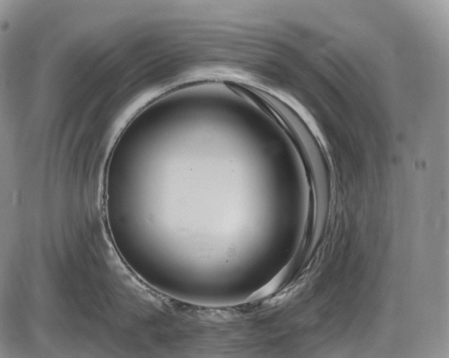 X0000086300815200703301200