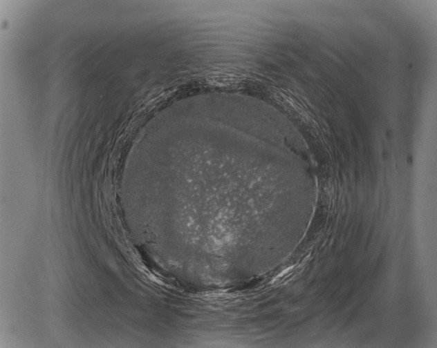 X0000086300817200703301159