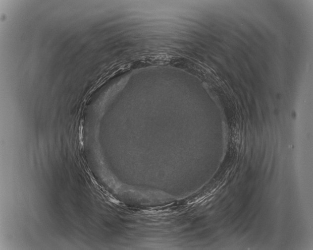 X0000086300818200703301159