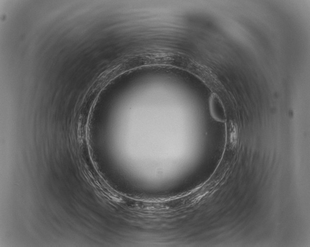 X0000086300819200703301159