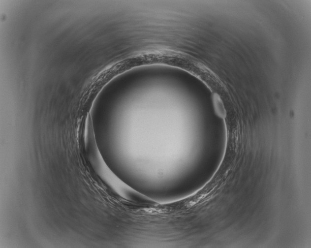 X0000086300822200703301159
