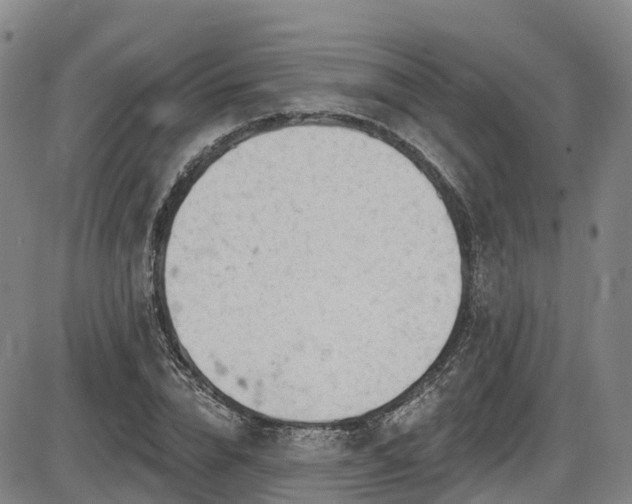 X0000086300832200703301159