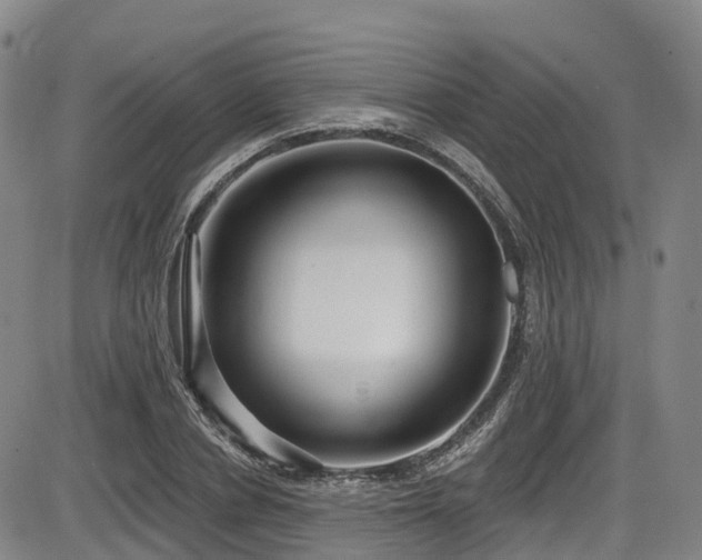 X0000086300834200703301159