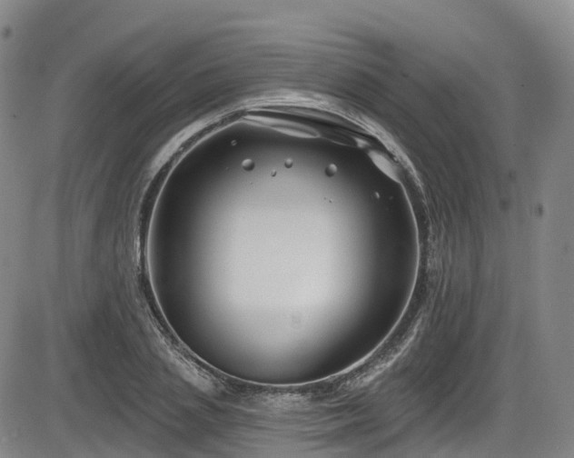X0000086300837200703301159