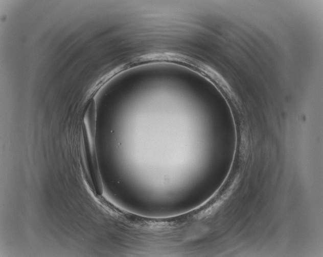 X0000086300849200703301200