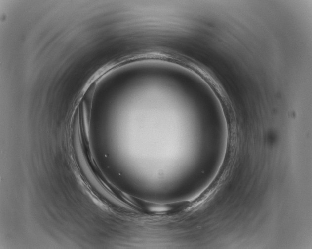 X0000086300858200703301200