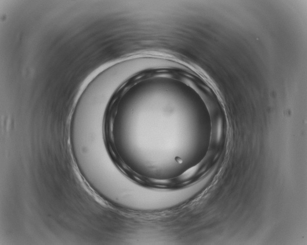 X0000086300862200703301200