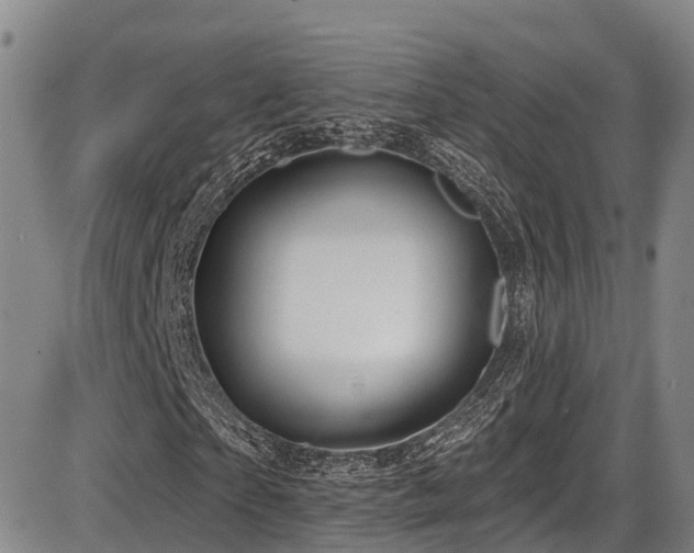 X0000086300865200703301159