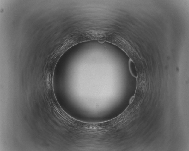 X0000086300866200703301159