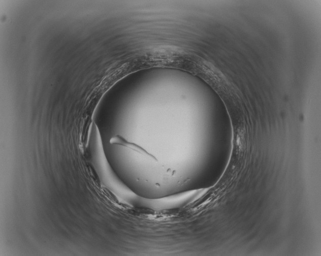 X0000086300867200703301159