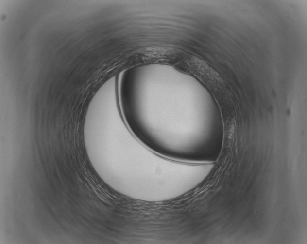 X0000086300868200703301159