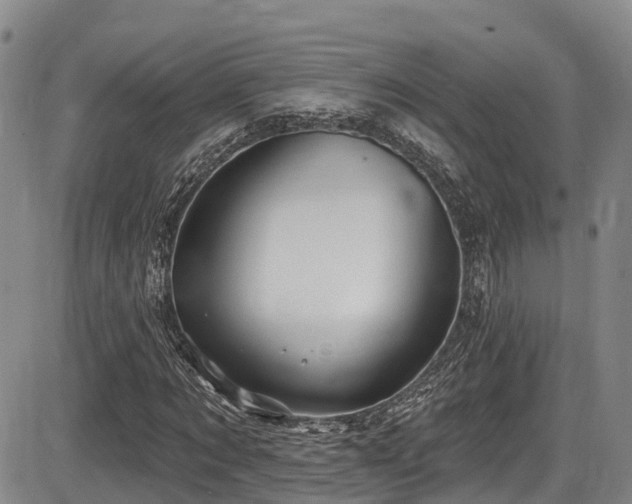 X0000086300869200703301159