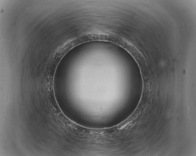 X0000086300870200703301159