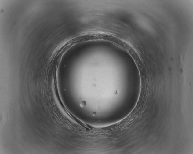 X0000086300871200703301159