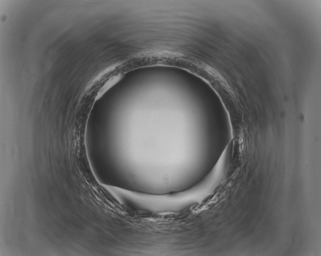 X0000086300872200703301159