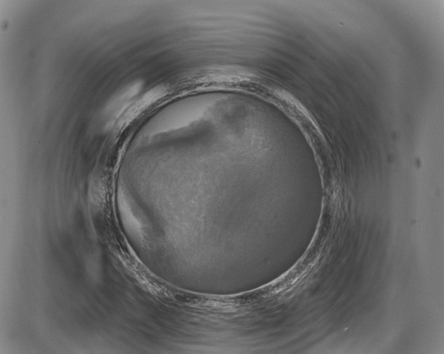 X0000086300874200703301159