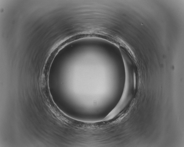 X0000086300876200703301159