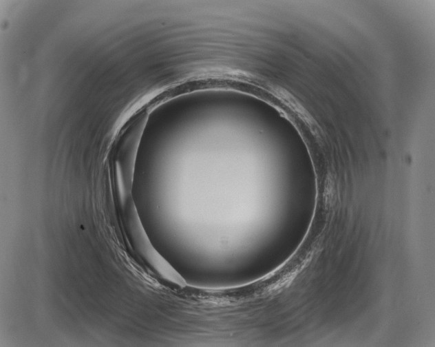 X0000086300877200703301159