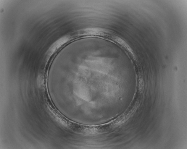 X0000086300882200703301159