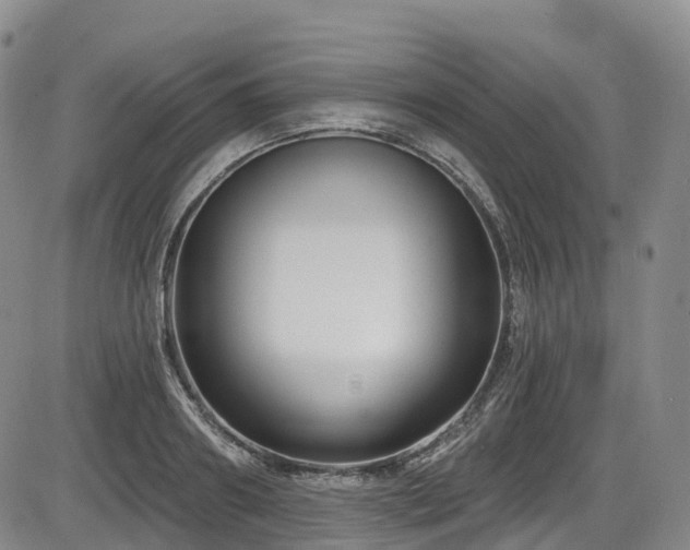 X0000086300890200703301159