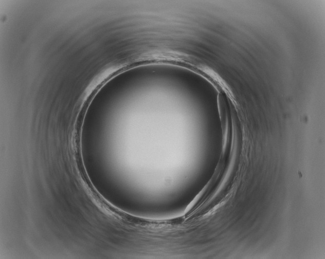X0000086300893200703301159