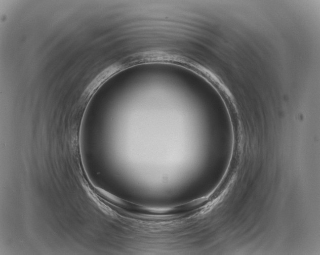 X0000086300897200703301159