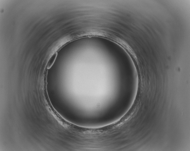 X0000086300898200703301159