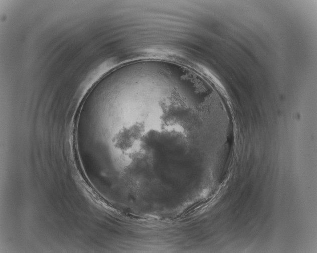 X0000086300899200703301159