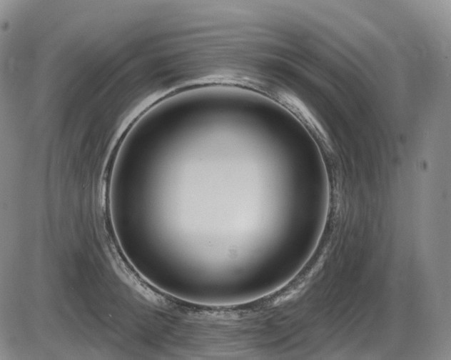 X0000086300900200703301158