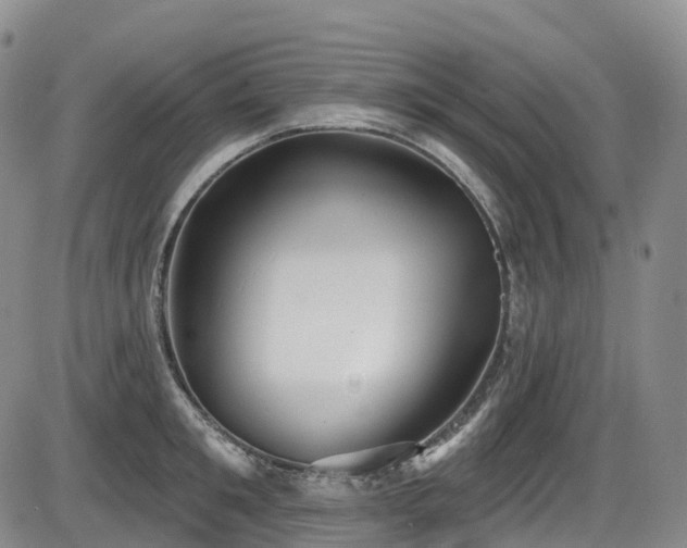 X0000086300901200703301158