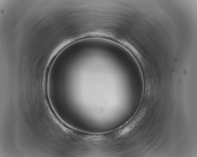 X0000086300902200703301158